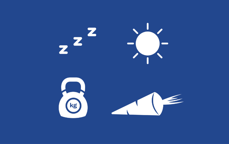 Illustration showing three z's to represent sleep, a sun, a kg weight and a carrot.